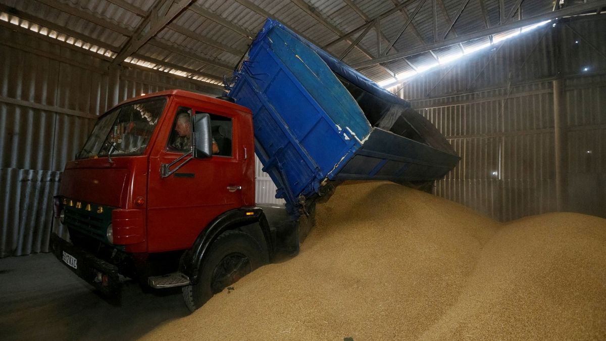 Na Ukrajině uvázlo kvůli blokádě téměř 25 milionů tun obilí